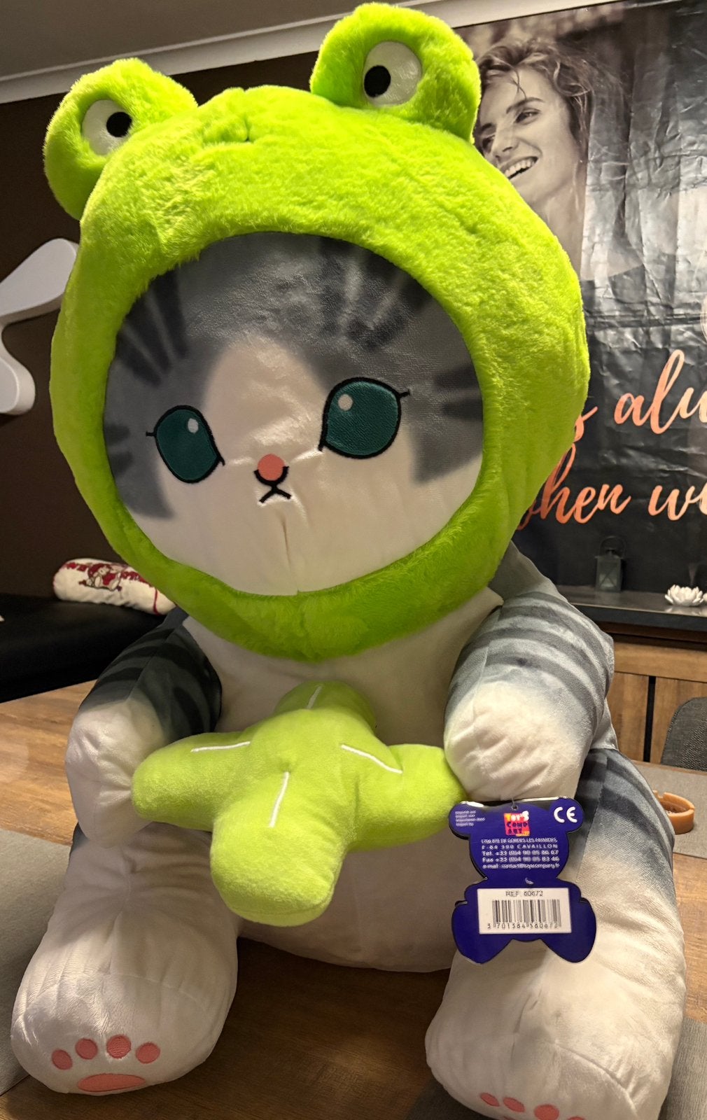 Kattenknuffel met kikkermuts, Enlèvement, Neuf