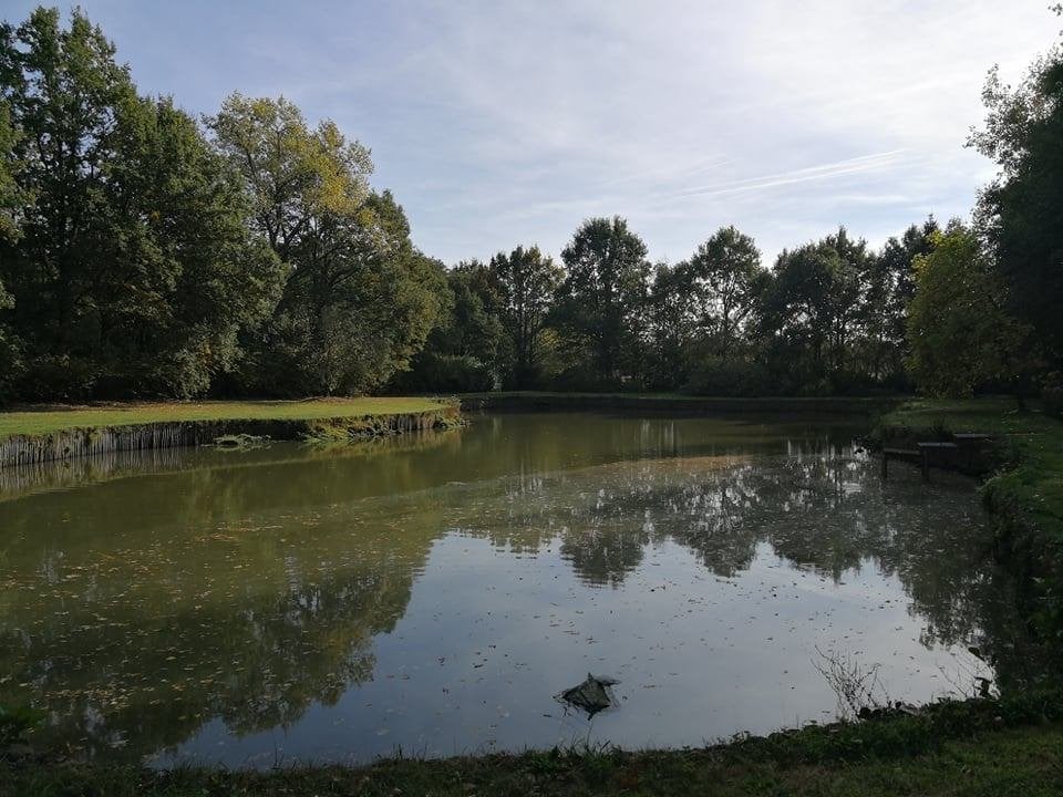 Vijver te Laakdal, Laakdal, Verkoop zonder makelaar, 1500 m² of meer