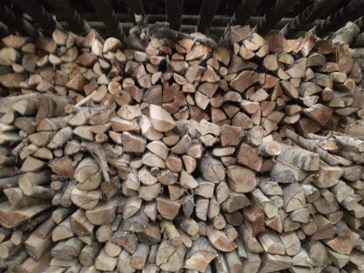 Brandhout wilg en berk te koop, 6 m³ ou plus, Enlèvement, Bouleau, Bûches