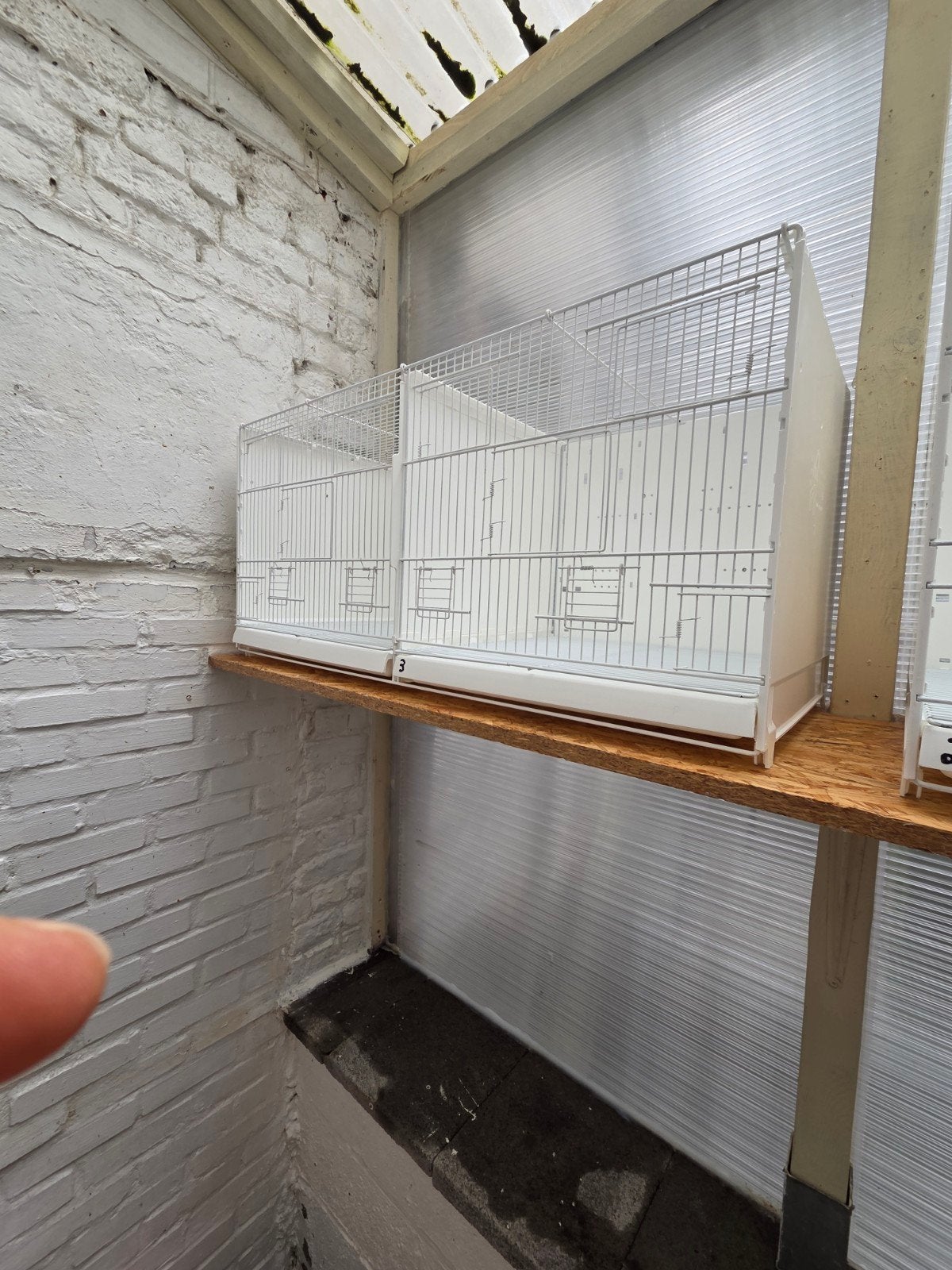 cages d'élevage, Animaux & Accessoires, Enlèvement, Utilisé, Métal, Cage d'élevage