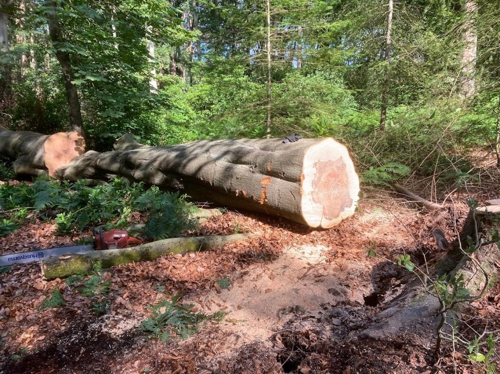Brandhout beuk, 6 m³ of meer, Ophalen of Verzenden, Beukenhout, Blokken