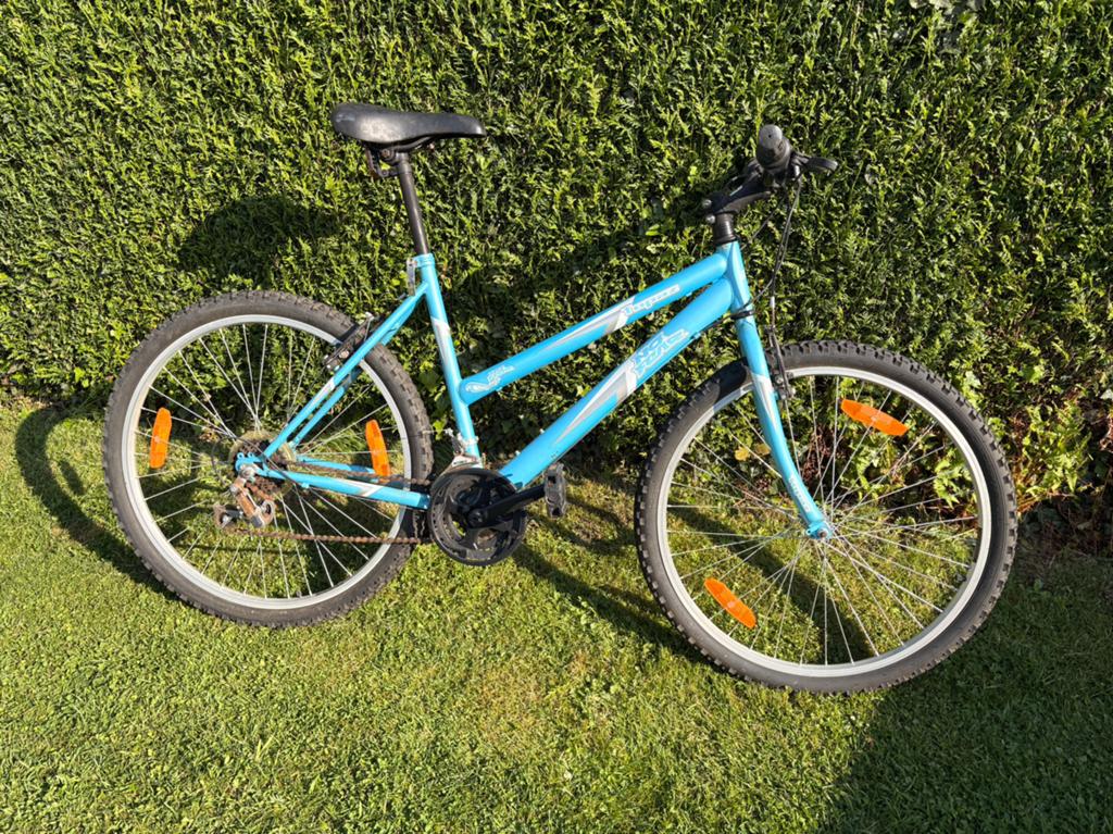 Mountainbike voor heren of dames, Ophalen, Gebruikt, 24 inch of meer