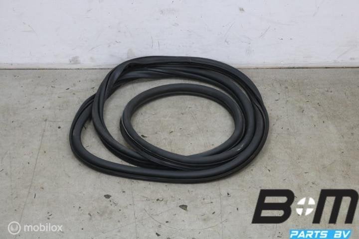 Portierrubber linksvoor VW E-Golf 7 5GE867911B, Gebruikt