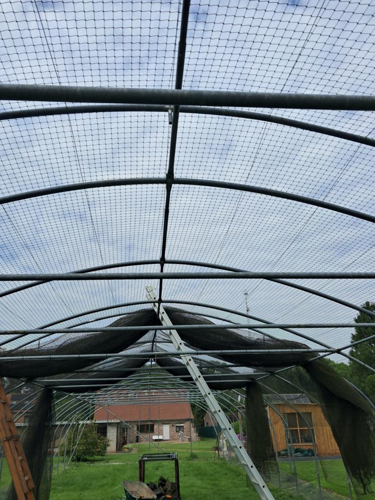 Voiler, Tuin en Terras, Partytenten, Ophalen
