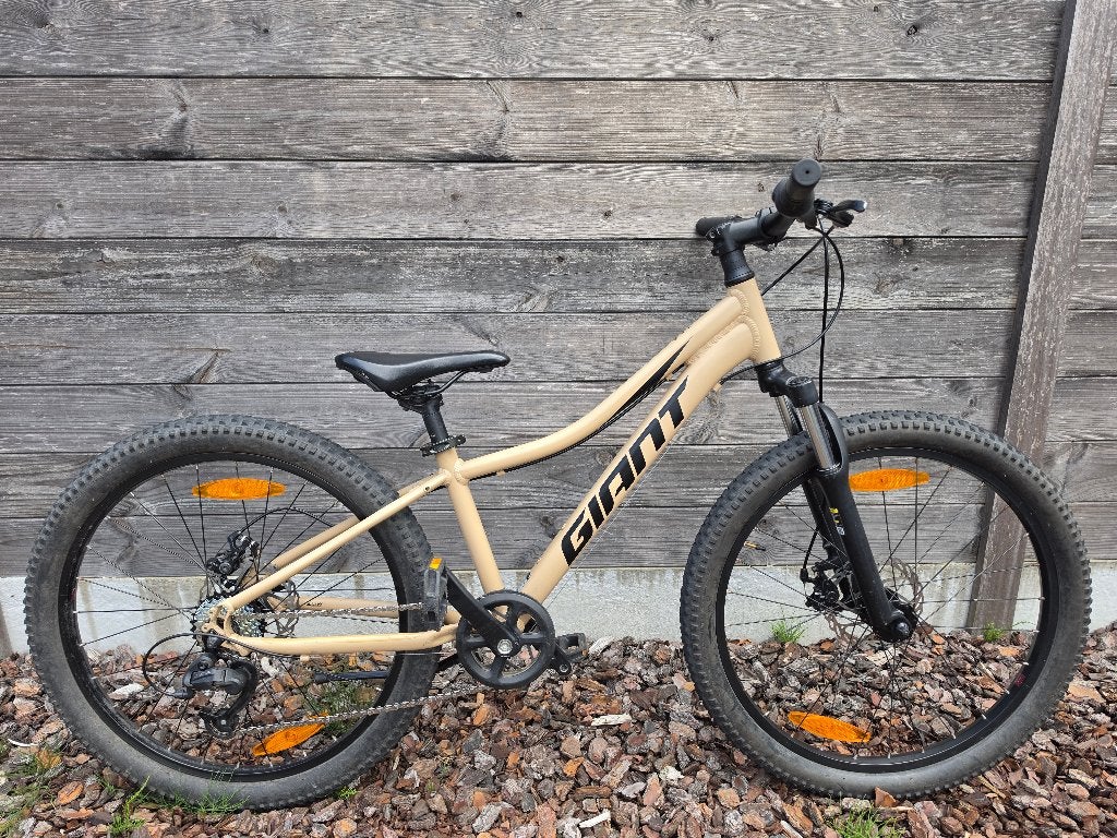 MTB Giant 24 inch SCHIJFREMMEN!!, Fietsen en Brommers, Hardtail, Heren, Zo goed als nieuw, Schijfrem