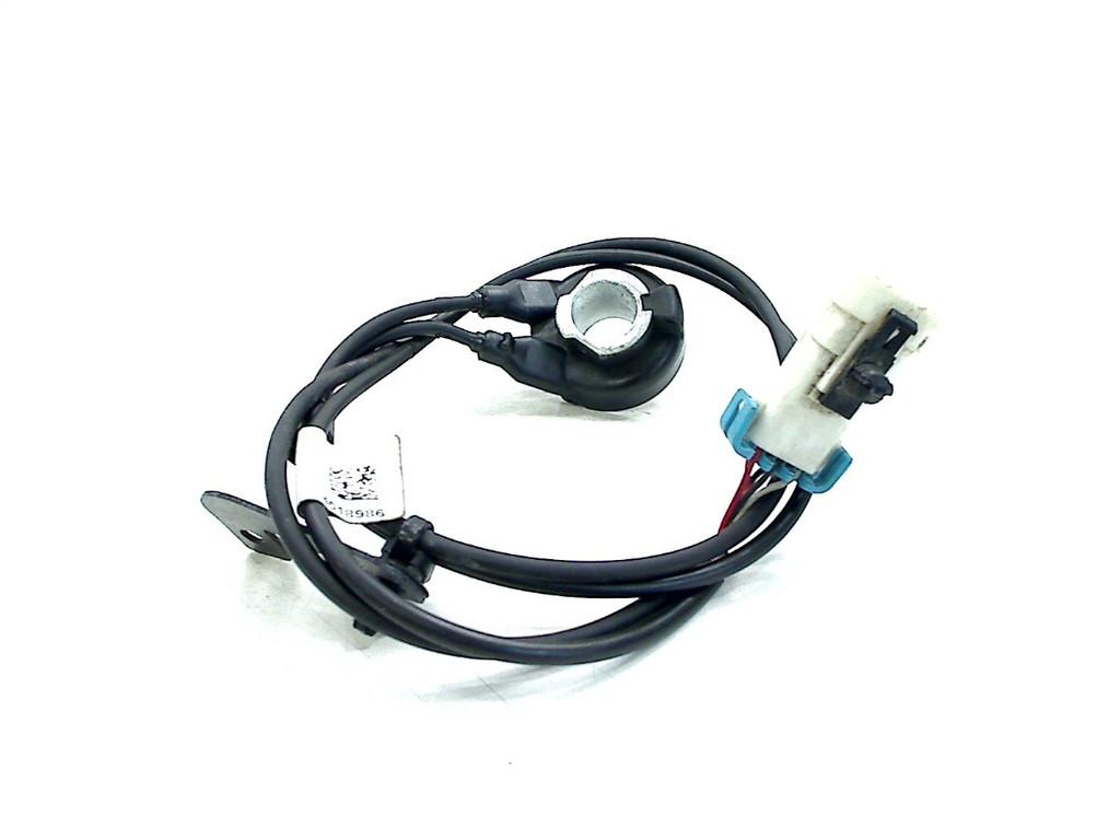 ABS SENSOR Indian Chief Dark Horse (01-2022/-), Motoren, Dhr. S. di Majo, Gebruikt, Info@cama-motorparts.nl, P.J. Troelstraweg 8 8
3144 CX  MAASSLUIS, NL