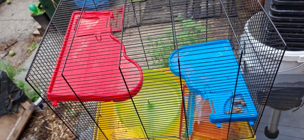 Kooi voor knaagdieren of vogels, Ophalen