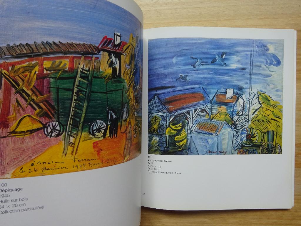 Raoul Dufy 1997 Fondation Pierre Gianadda, Ophalen of Verzenden, Gelezen, Schilder- en Tekenkunst