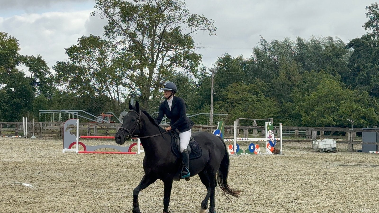 Lieve merrie zoekt 5* huisje, Avec pedigree, 165 à 170 cm, L, Cheval de récréation