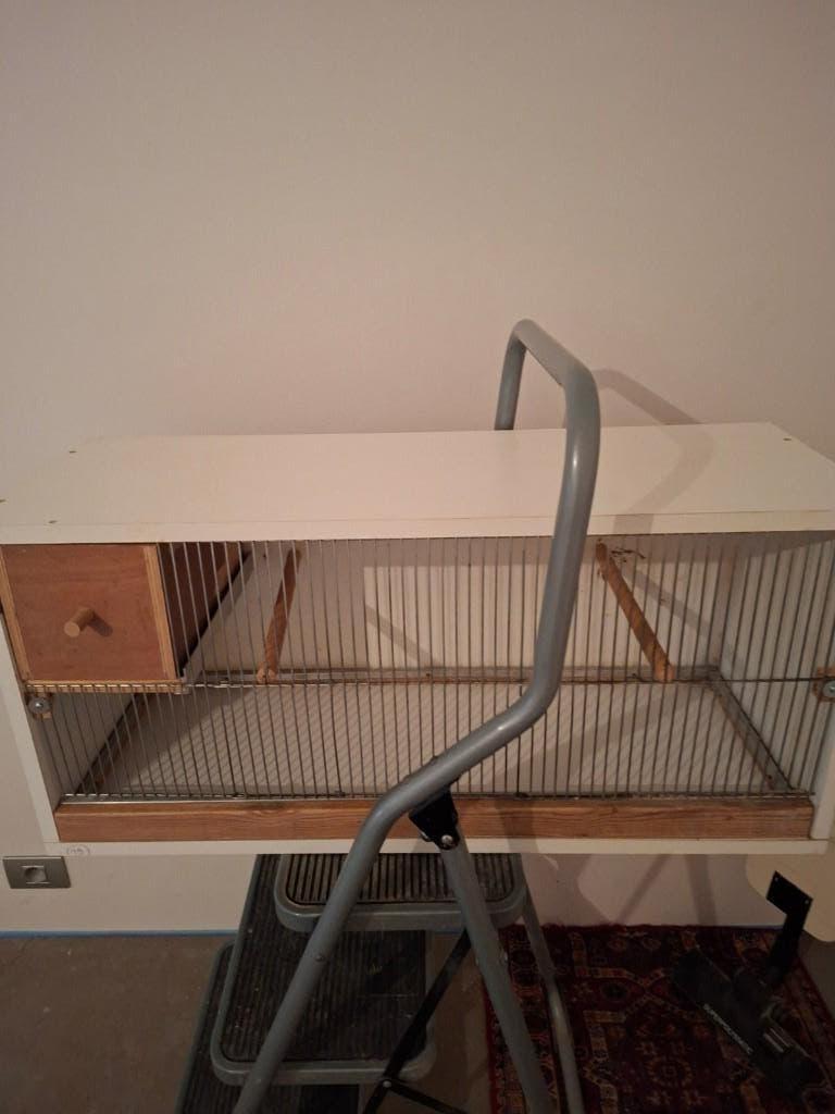 Kweekkooi, Enlèvement, Utilisé, Bois, Cage d'élevage