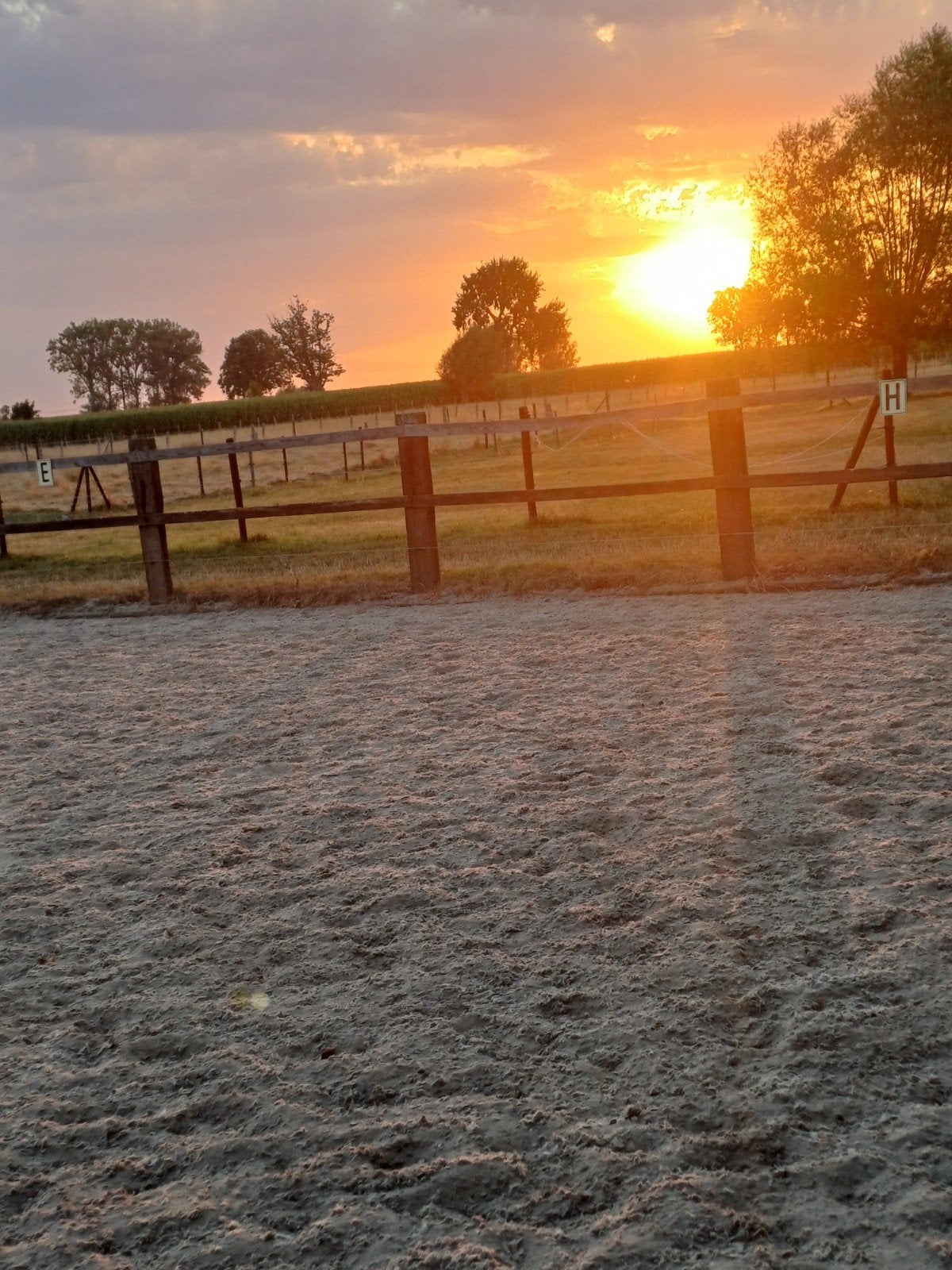 Plaatsje vrij te Viane (Geraardsbergen), Dieren en Toebehoren, Stalling en Weidegang, Stalling, 4 paarden of pony's of meer