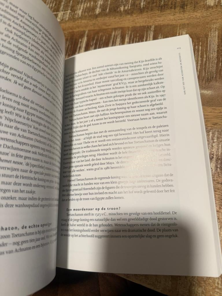 Onder het oog van de zonnegod - Marleen Reynders, Livres, Enlèvement ou Envoi, 14e siècle ou avant, Marleen Reynders, Comme neuf