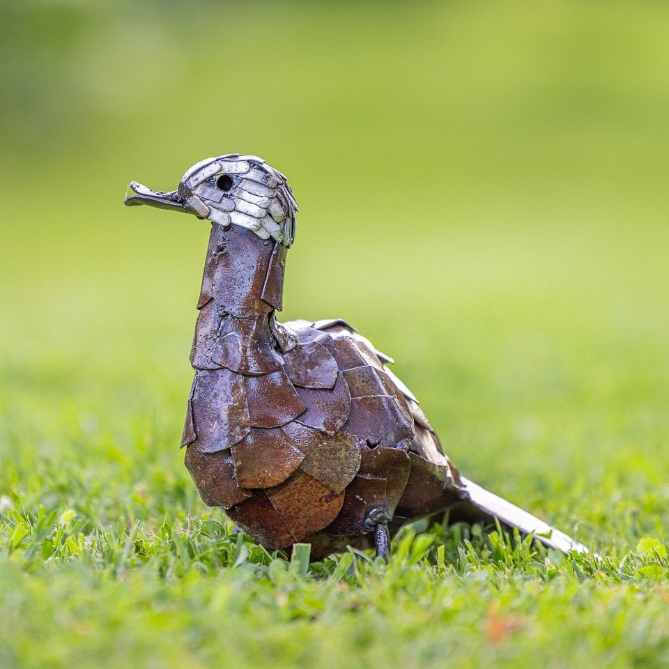 Sculptures de jardin en métal - Canards - Beaux oiseaux, Enlèvement ou Envoi, Neuf, Métal, Animal