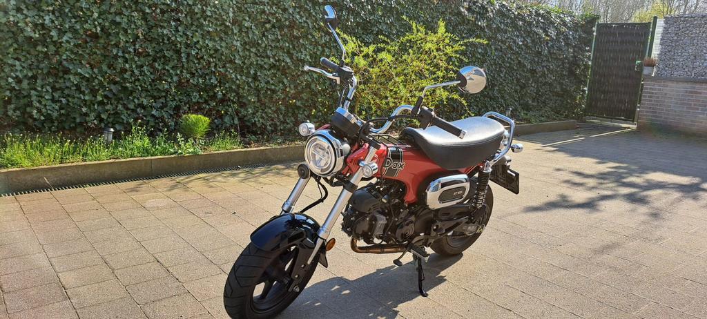 Honda Dax ST125, Motoren, Motoren | Honda, Particulier, Overig, 1 cilinder, ABS, LED Verlichting, Sportuitlaat, Nieuw, Ophalen