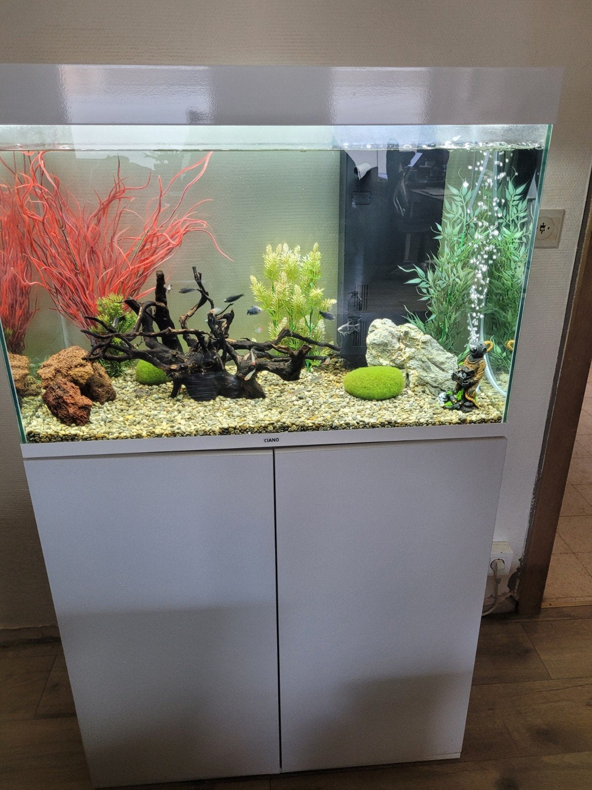 aquarium met kast, Dieren en Toebehoren, Ophalen, Inclusief planten, Zo goed als nieuw