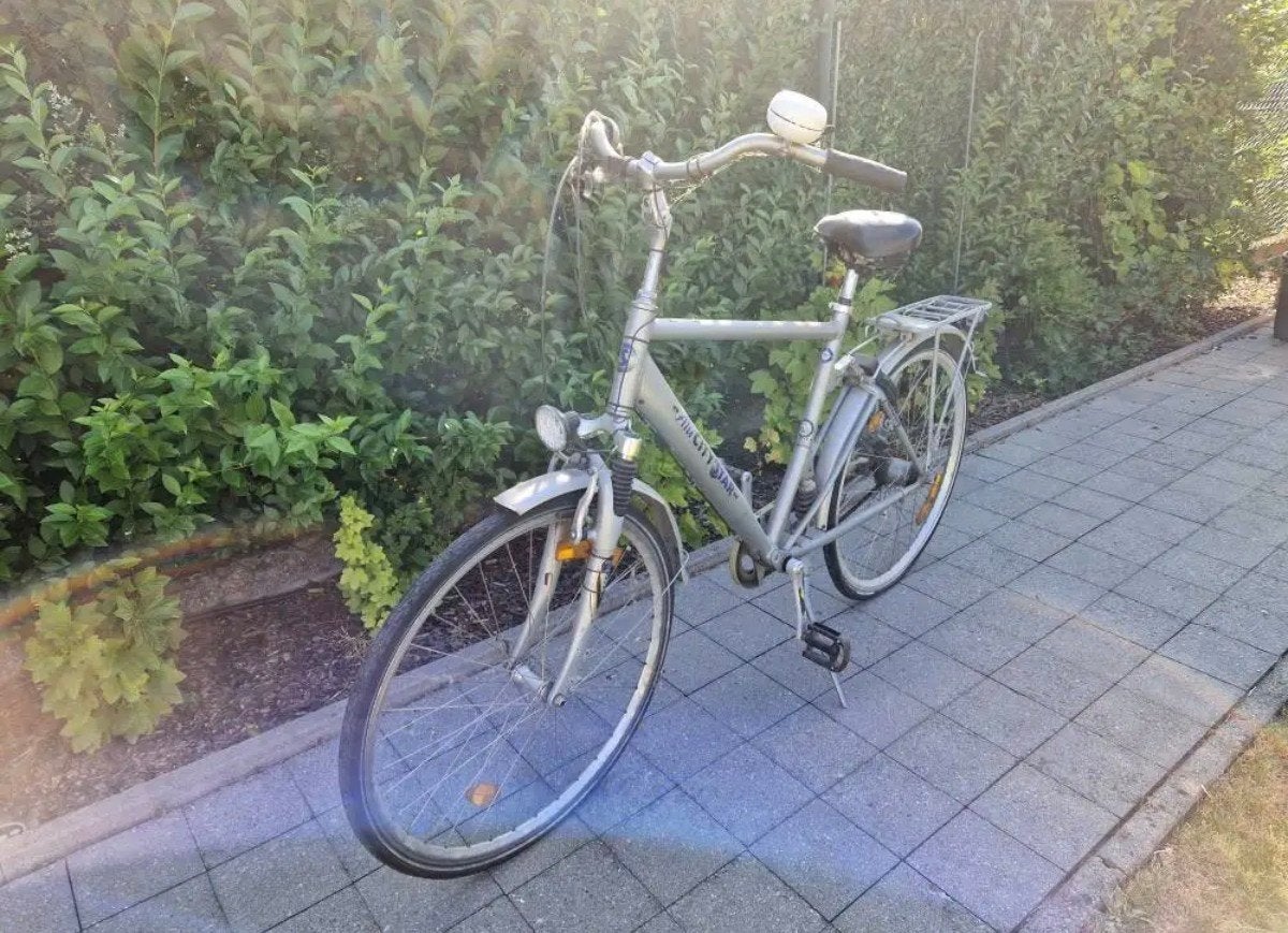 Herenfiets, Fietsen en Brommers, Fietsen | Heren | Herenfietsen, Ophalen, Terugtraprem