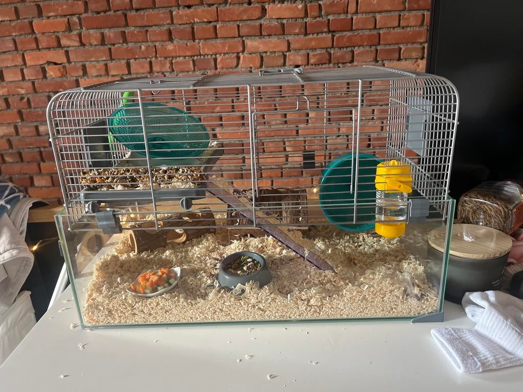 Hamsterkooi, Dieren en Toebehoren, Ophalen, Zo goed als nieuw, Kooi