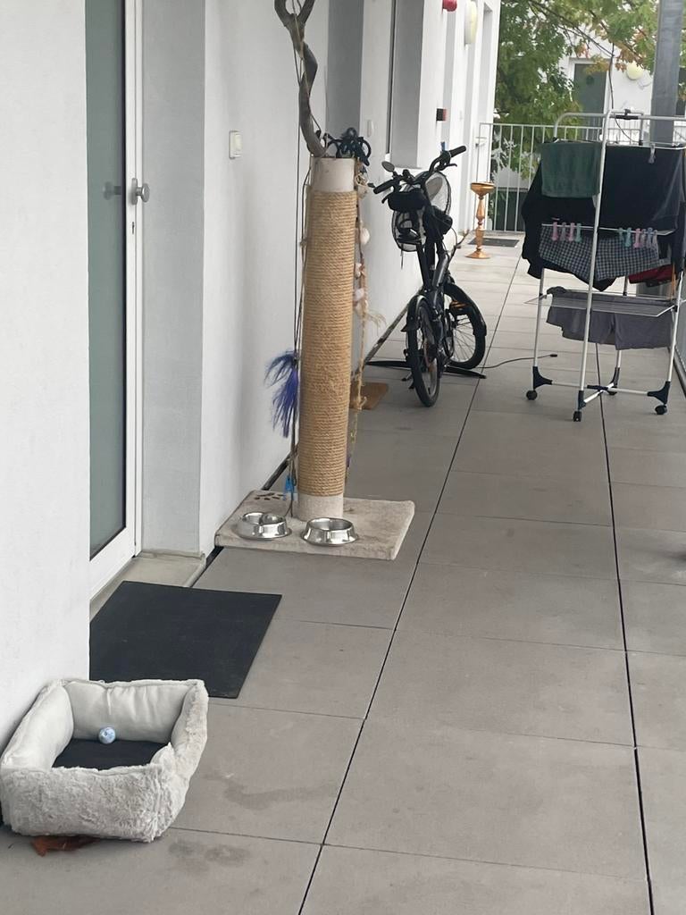 Kattenpaal, Ophalen of Verzenden, Zo goed als nieuw