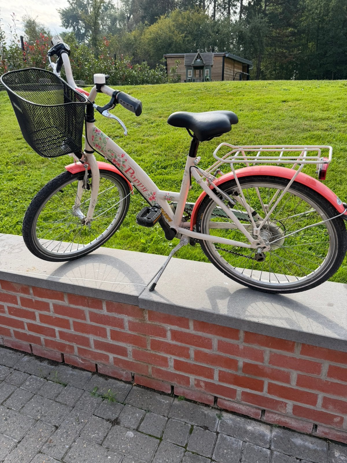 Mesjes fiets, Ophalen, 22 inch