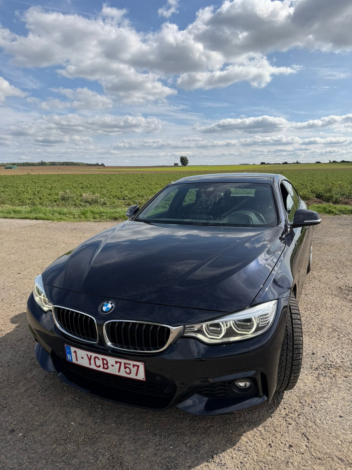 Bmw 420d pack m prevoir peinture parchoc av et arriere, Autos, Achat, Diesel, Particulier, Série 4 Gran Coupé
