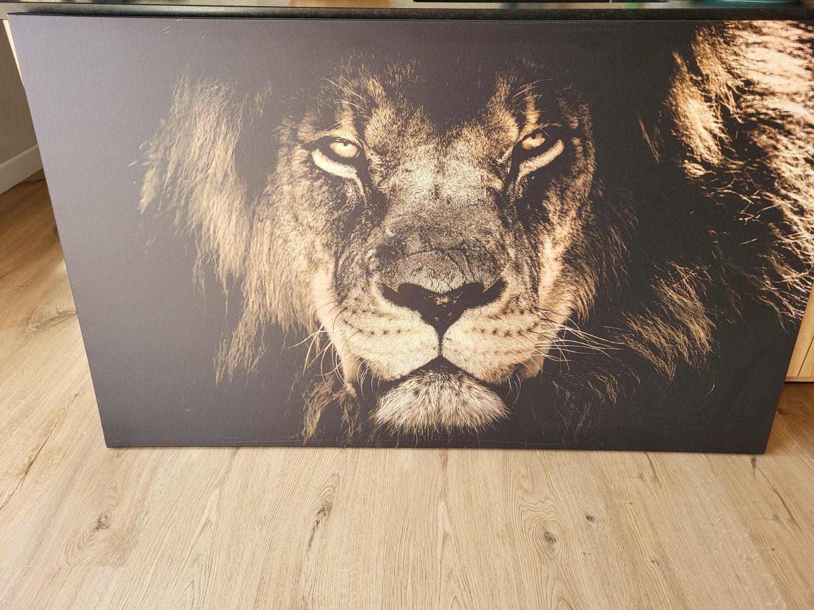Canvas leeuw, Huis en Inrichting, Ophalen