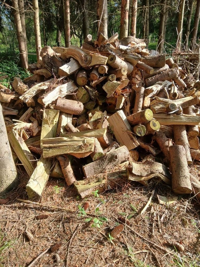 Brandhout den, 6 m³ of meer, Ophalen, Overige houtsoorten, Blokken