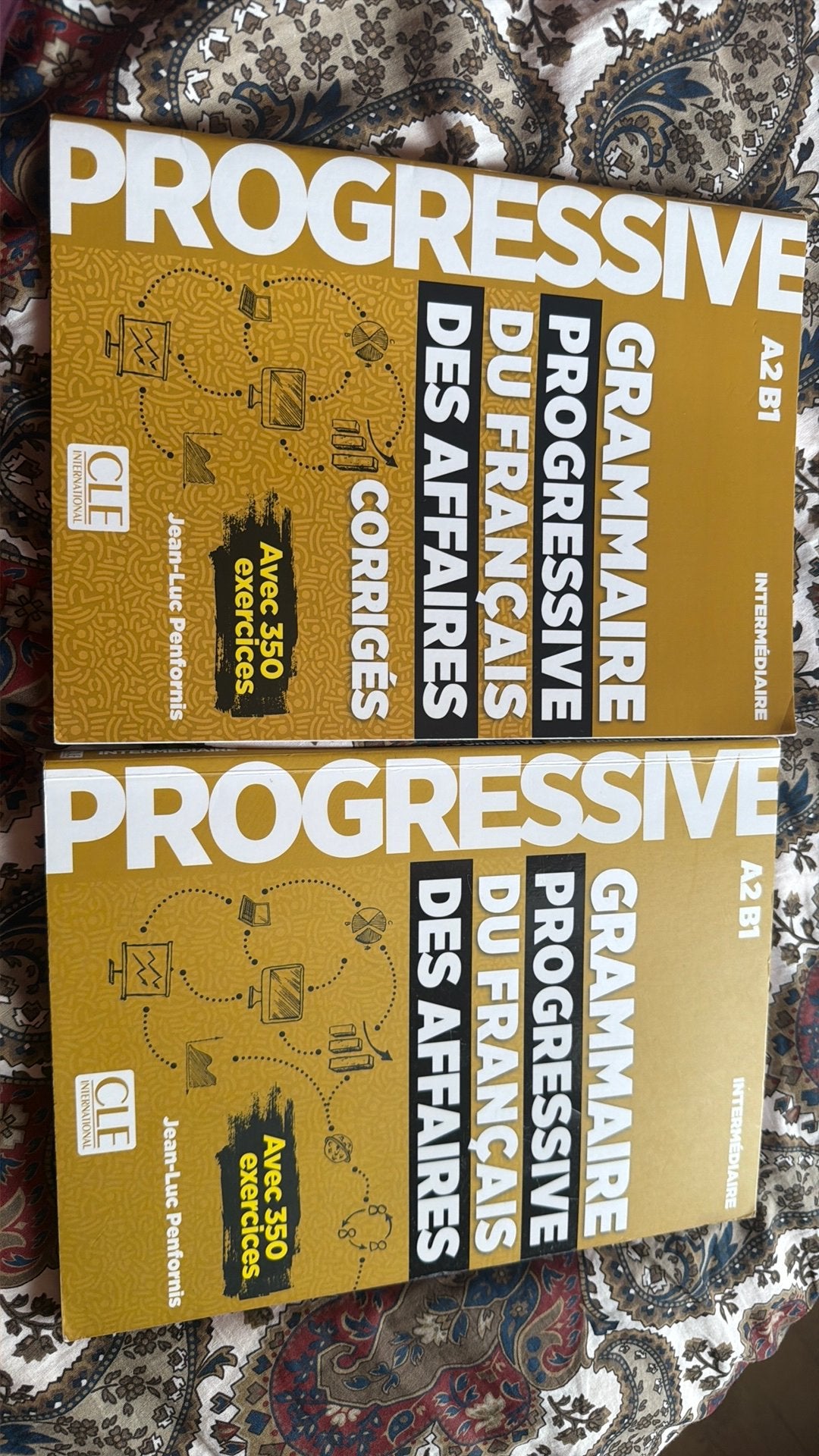 Grammaire progressive de français des affaires