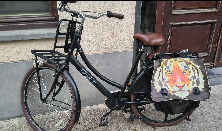 Damesfiets Static transport model, Ophalen, Gebruikt, Static