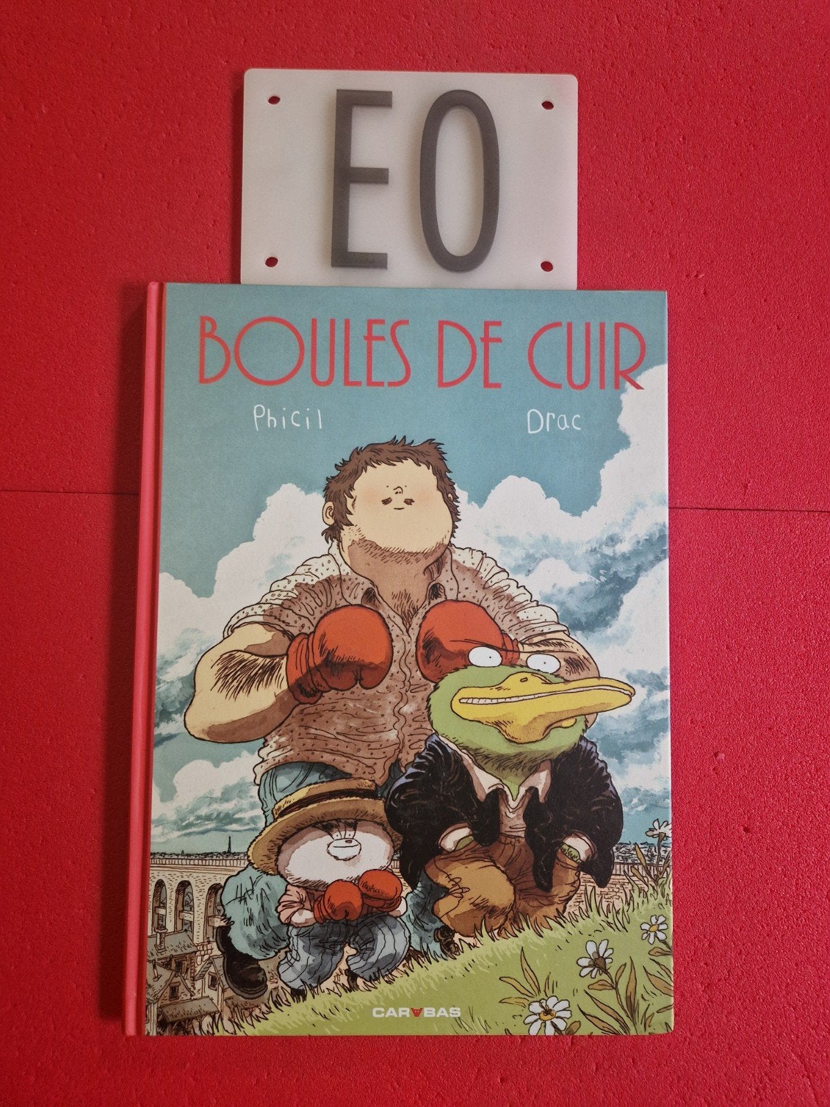 Bd boules de cuir, EO, Enlèvement ou Envoi
