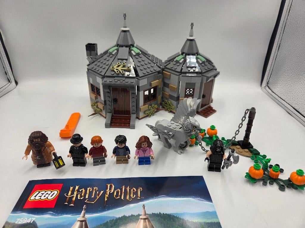 Lego Harry Potter 75947 Hagrid's Hut: Buckbeak's Rescue, Ophalen, Compleet, Lego, Harry Potter