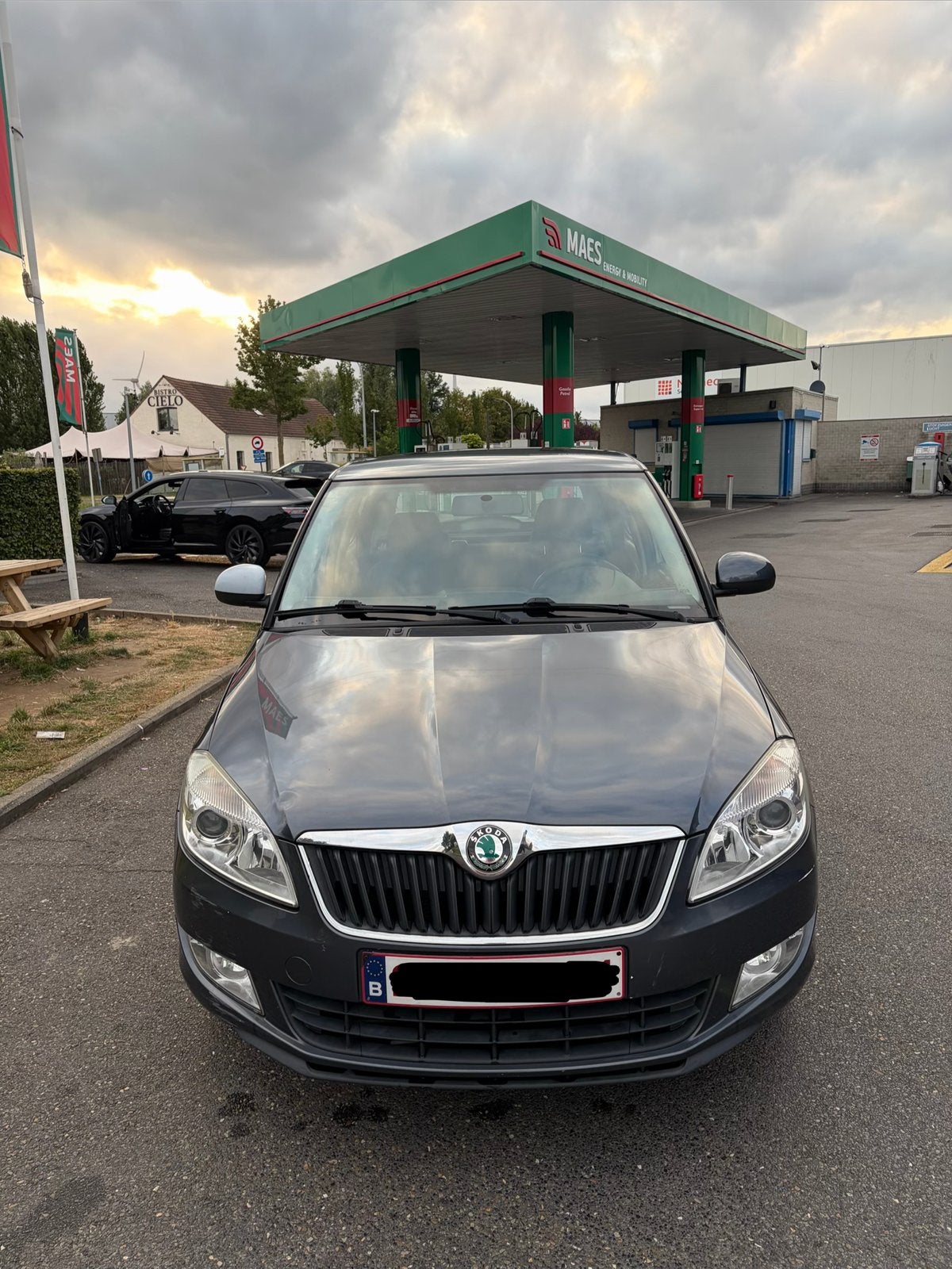 Skoda Fabia, Autos, Achat, Diesel, Particulier, Fabia