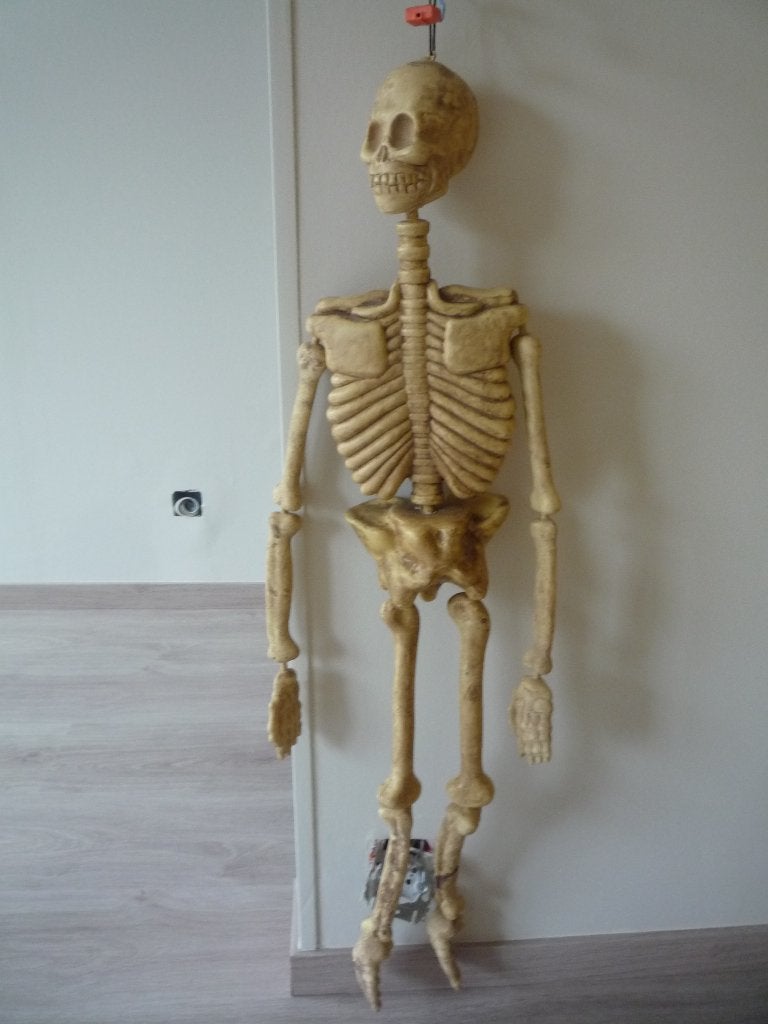 haloween plastic skelet, Ophalen of Verzenden, Gebruikt, Versiering