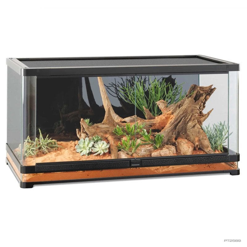 Terrariums gezocht, Animaux & Accessoires, Enlèvement, Comme neuf