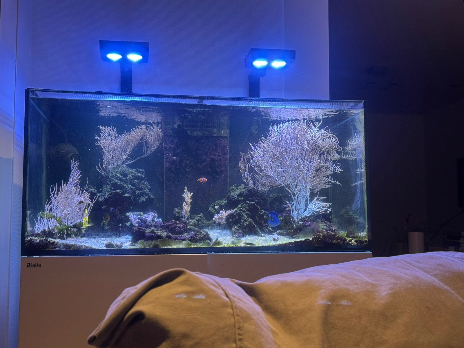 Stopzetting hobby, Ophalen, Red Sea, Gevuld zeewateraquarium, Gebruikt