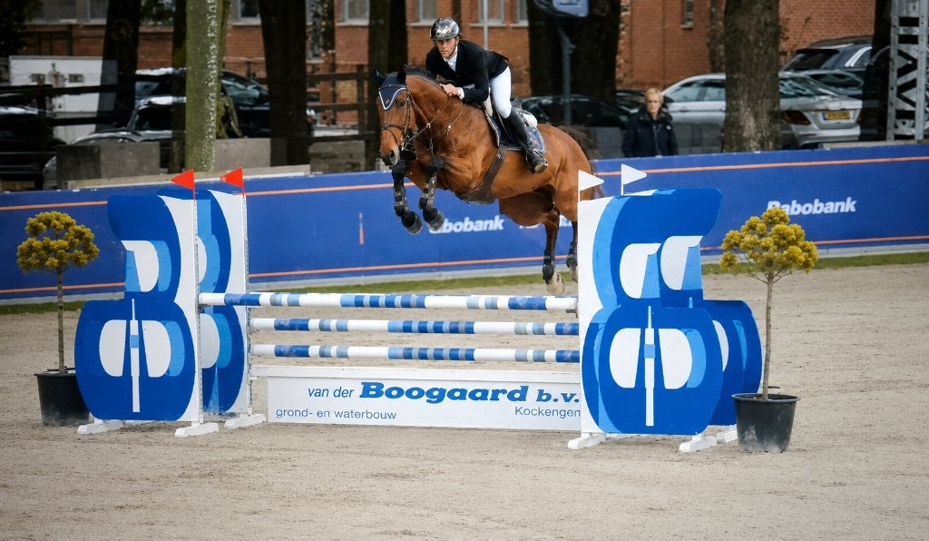 Eventing/springpaard 6 jr ruin * veel kwaliteit en bloed *, Hongre, 165 à 170 cm, L, Cheval de saut