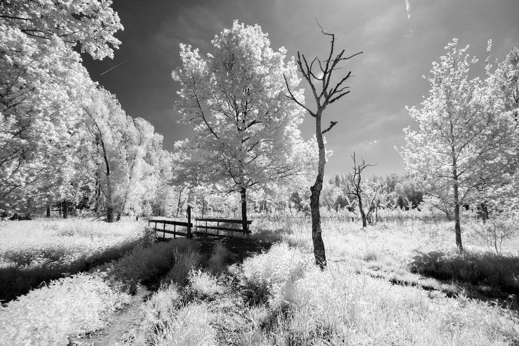 Canon EOS R - Infrarouge - UV - Normal, Sans zoom optique, 30 mégapixels, Enlèvement ou Envoi, Canon