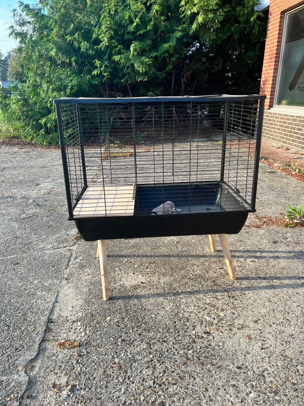 Cavia kooi, Dieren en Toebehoren, Ophalen, Hok, Cavia