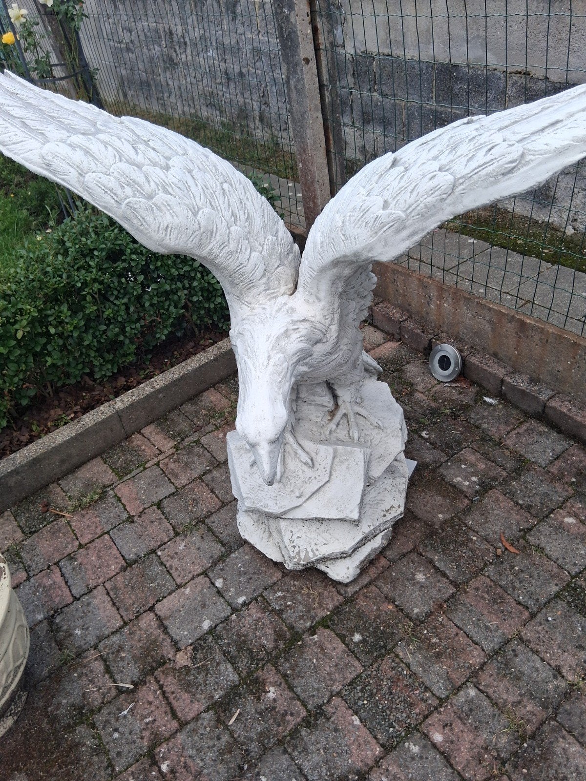 aigle de pierre, Enlèvement
