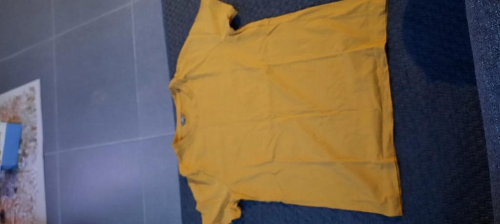 T-shirt maat 36, Kleding | Dames, T-shirts, Ophalen of Verzenden