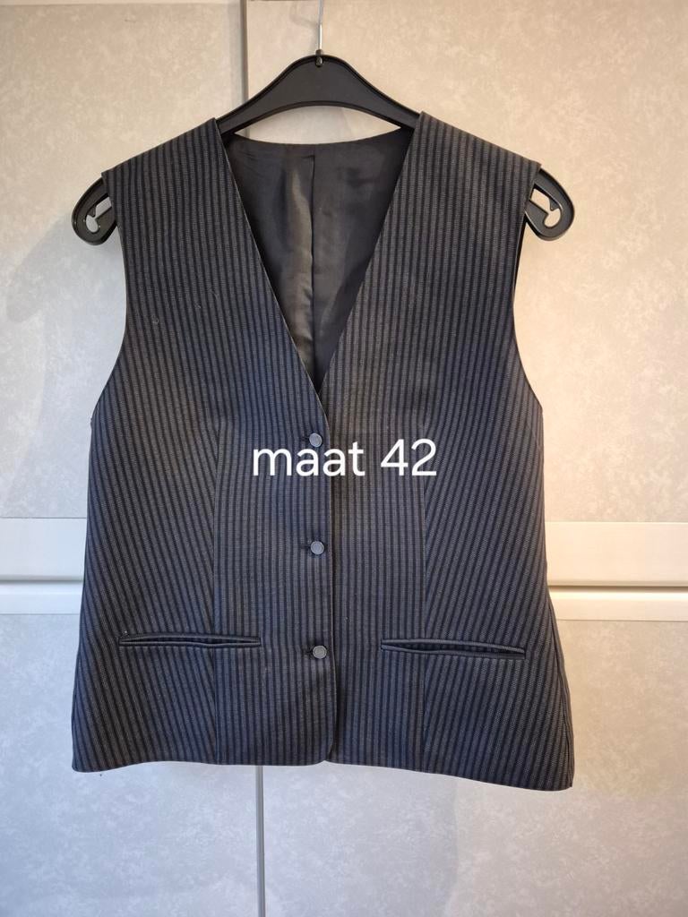 Gillet voor dames (geschikt voor horeca) maat 42, Ophalen, Maat 42/44 (L)