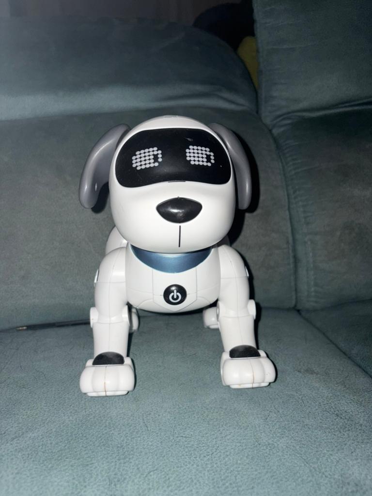Robot hond, Ophalen of Verzenden, Zo goed als nieuw