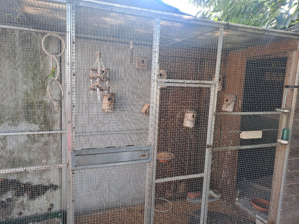 Volière met grasparkieten, Ophalen, Aluminium, Volière