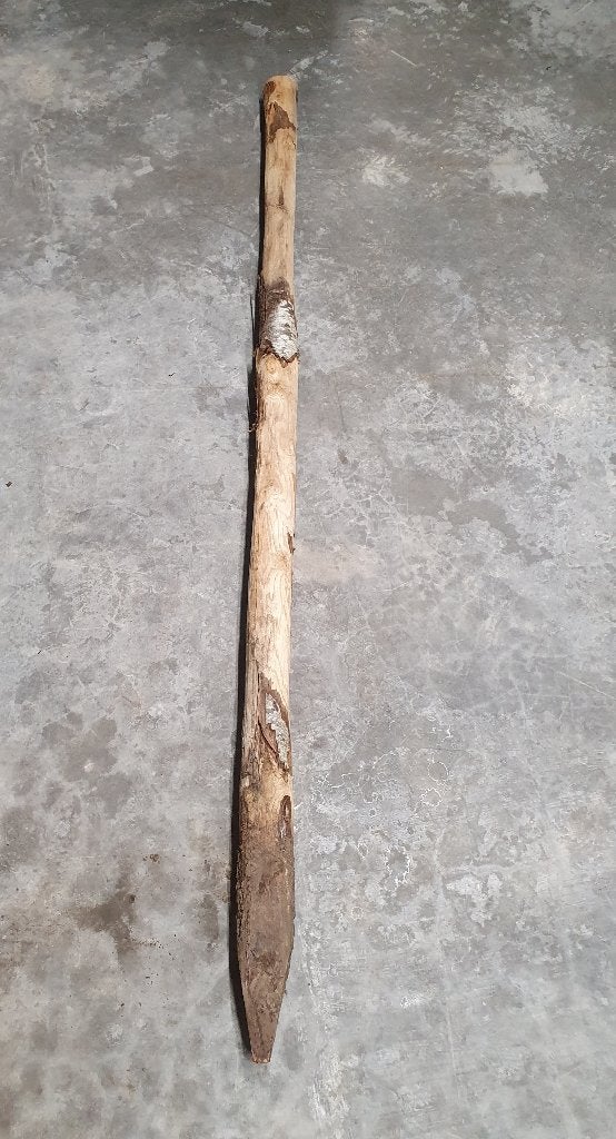 Robinia Tuinpaal 250cm, Enlèvement, Utilisé, 180 à 250 cm, Poteaux