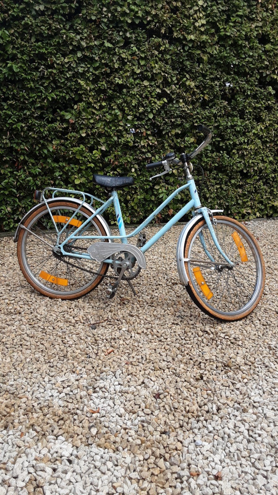 meisjesfiets 20 inch, Fietsen en Brommers, Ophalen, 20 inch, Versnellingen