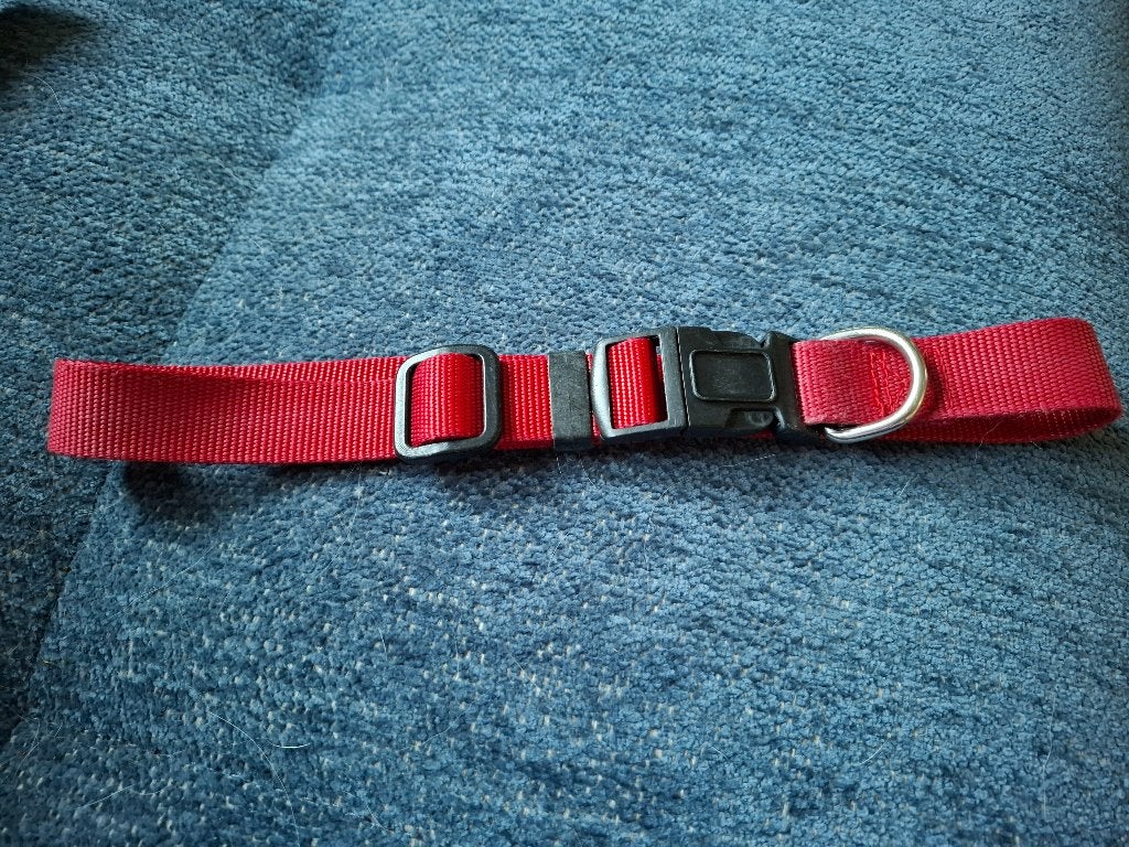 Collier en nylon rouge pour grand chien, Dieren en Toebehoren, Verzenden, Gebruikt