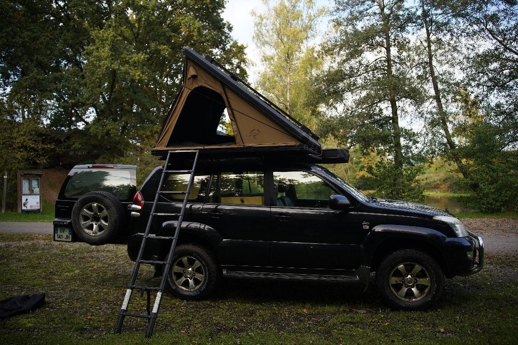 Toyota Landcruiser KDJ 120, Automaat, Beige, Leder, 3 cilinders