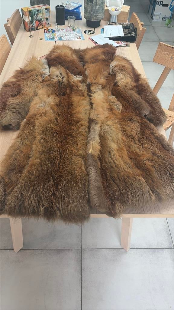 Bontjas vos, Kleding | Dames, Jassen | Winter, Ophalen of Verzenden, Gedragen, Maat 38/40 (M), Overige kleuren