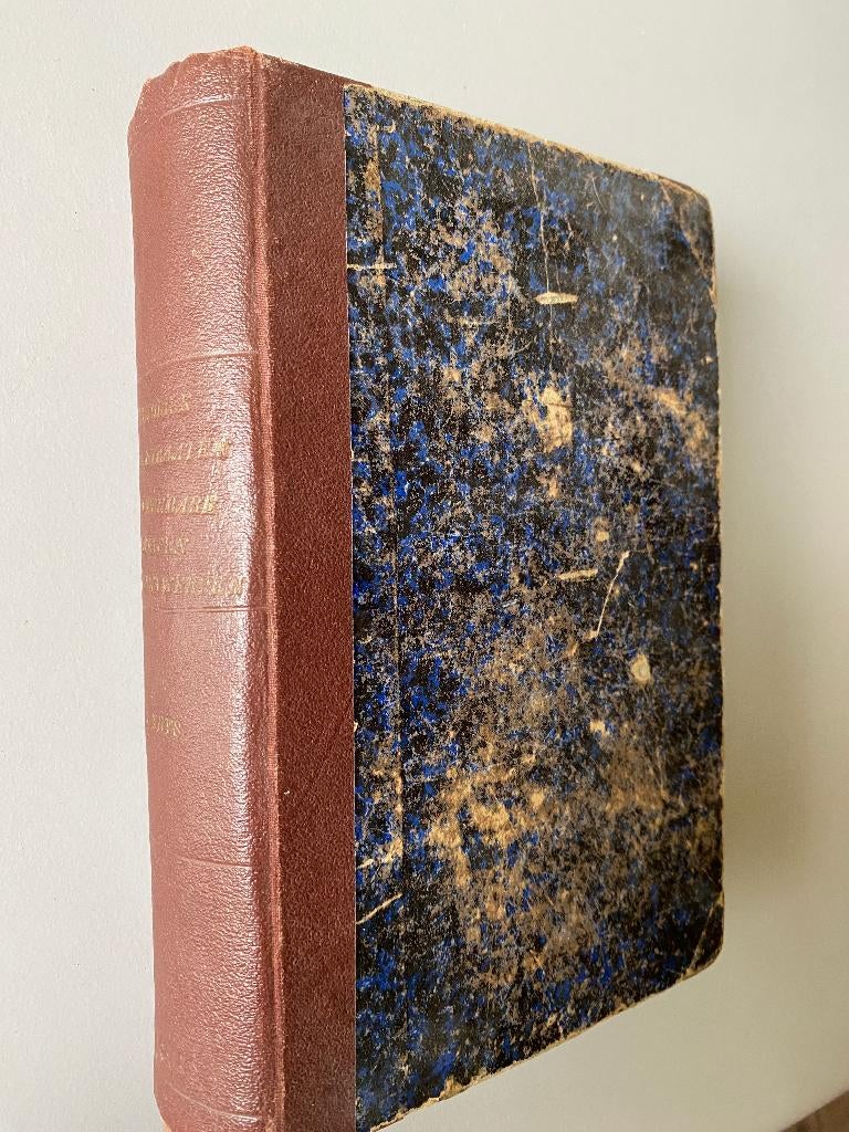 Livre antique "Historiek der Straten van Antwerpen" 1879, Enlèvement ou Envoi, Utilisé, Thys Augustin