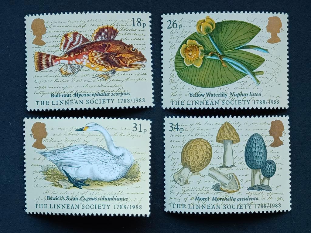 Timbres du Royaume-Uni et d'Angleterre, Enlèvement ou Envoi, Non oblitéré