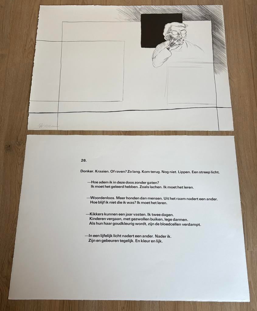 Litografie “genesis” van Roger Raveel, Ophalen of Verzenden